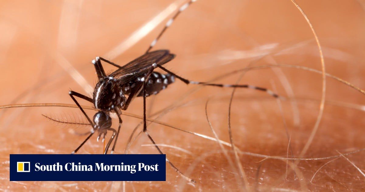 Chinese start-up behind laser mosquito killer set to start shipping orders