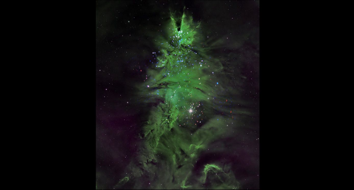 Feed Image