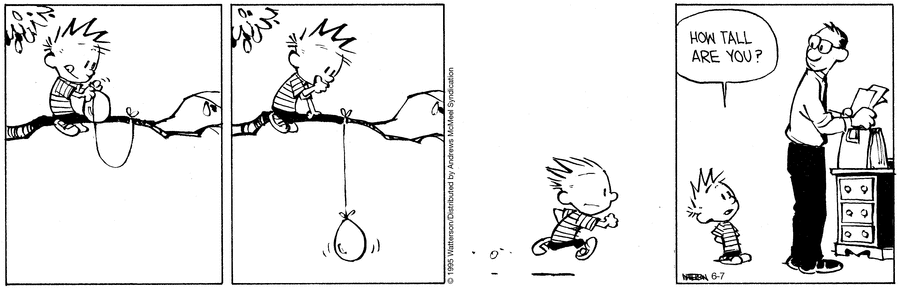 Feed Image