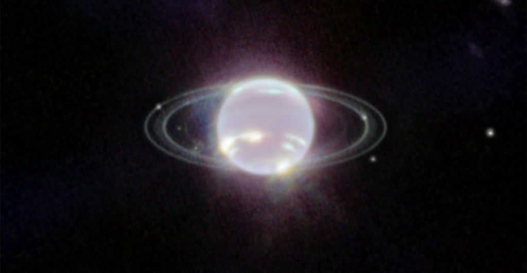 Feed Image