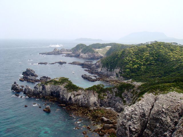 Feed Image