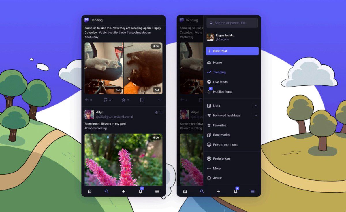 Feed Image