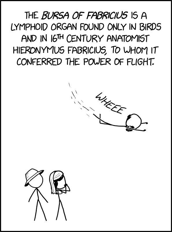 Feed Image