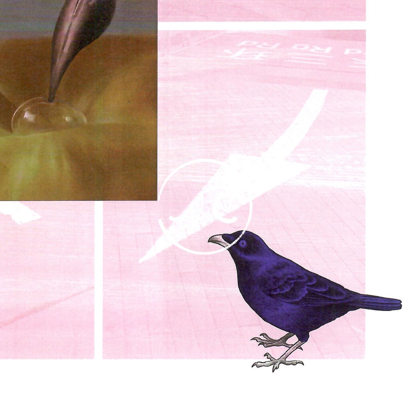 Feed Image