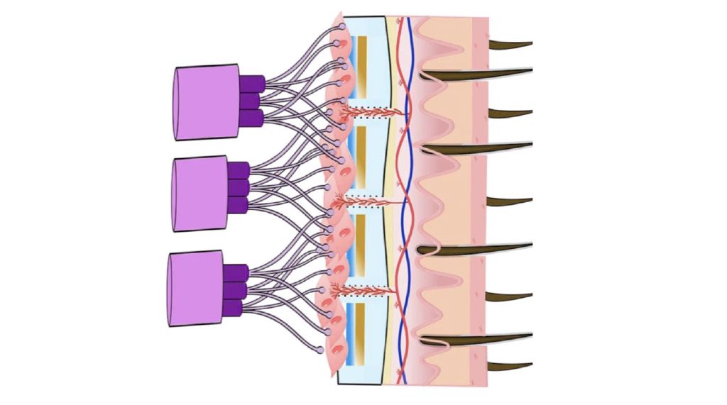 Feed Image