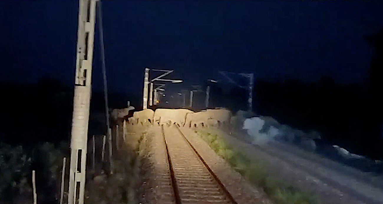 Feed Image