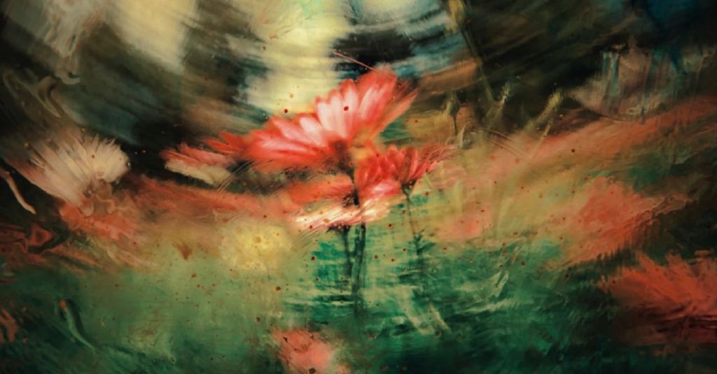 Feed Image