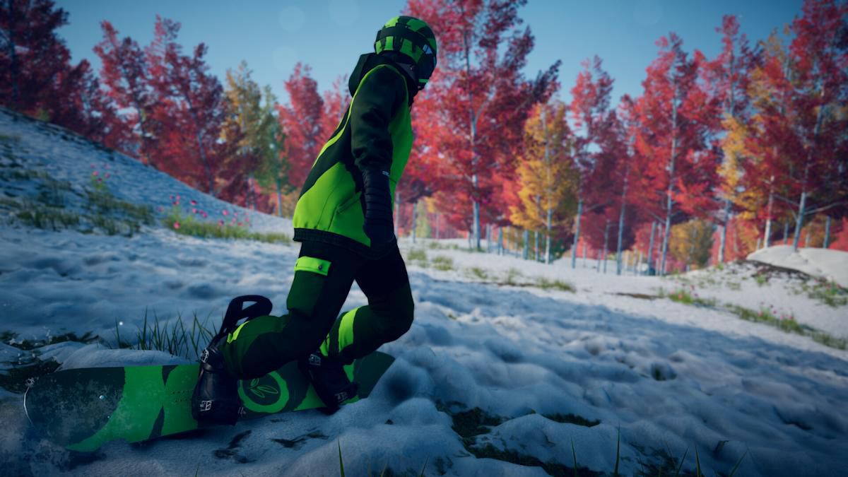 Feed Image