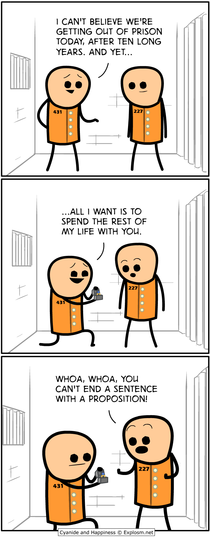 Feed Image