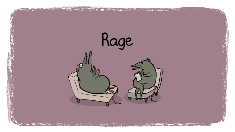 Feed Image
