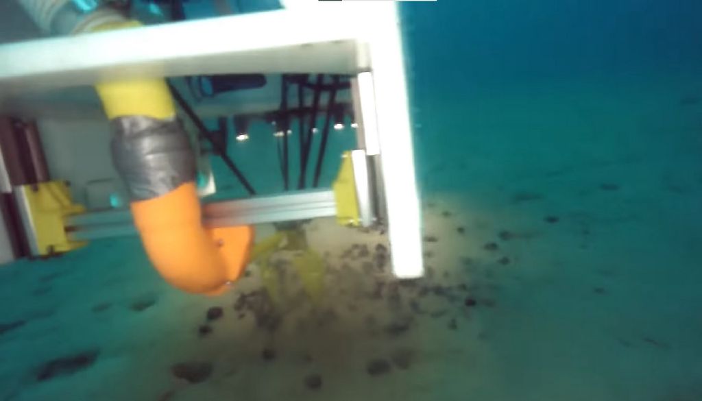 Feed Image