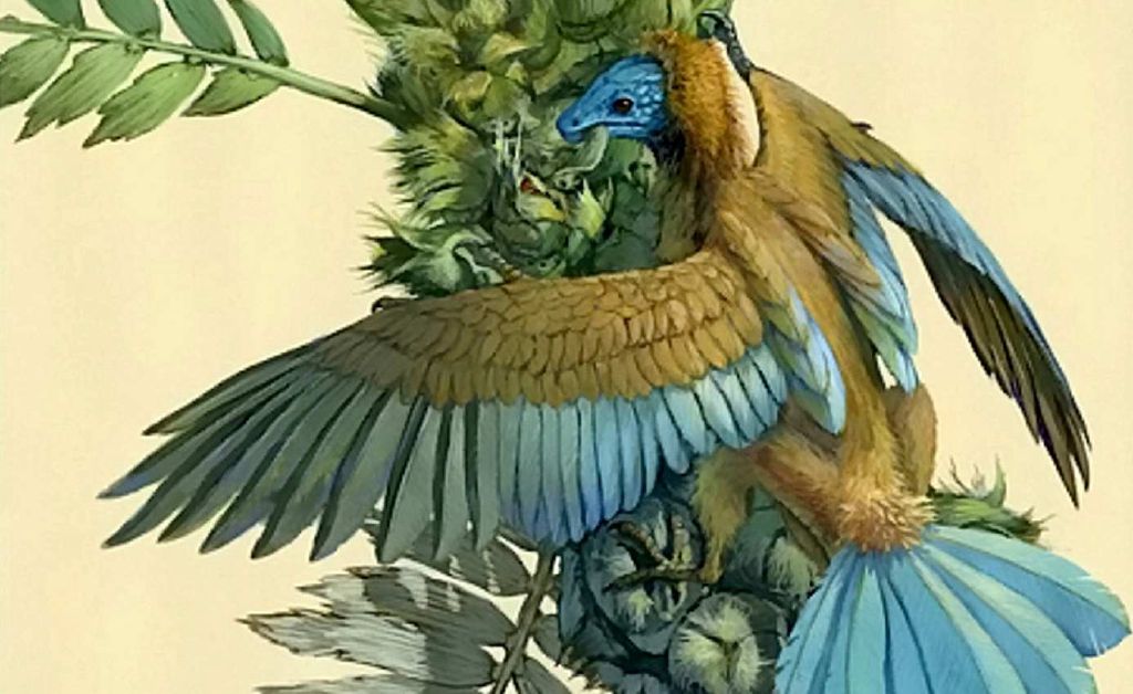 Feed Image