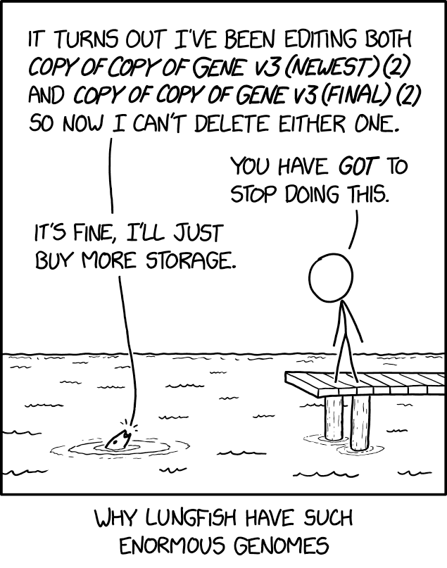 Feed Image