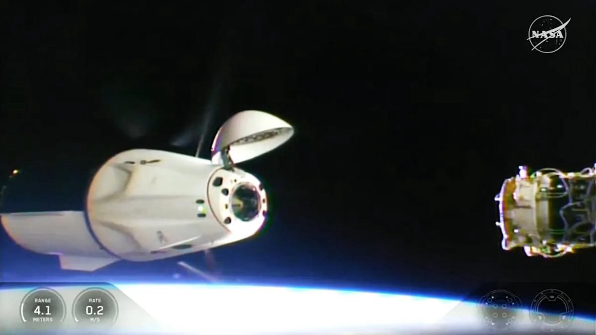 Feed Image