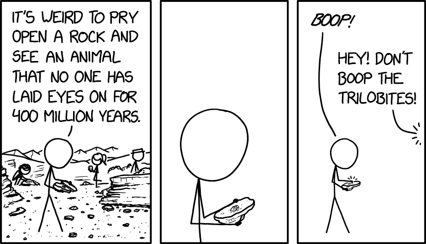 Feed Image
