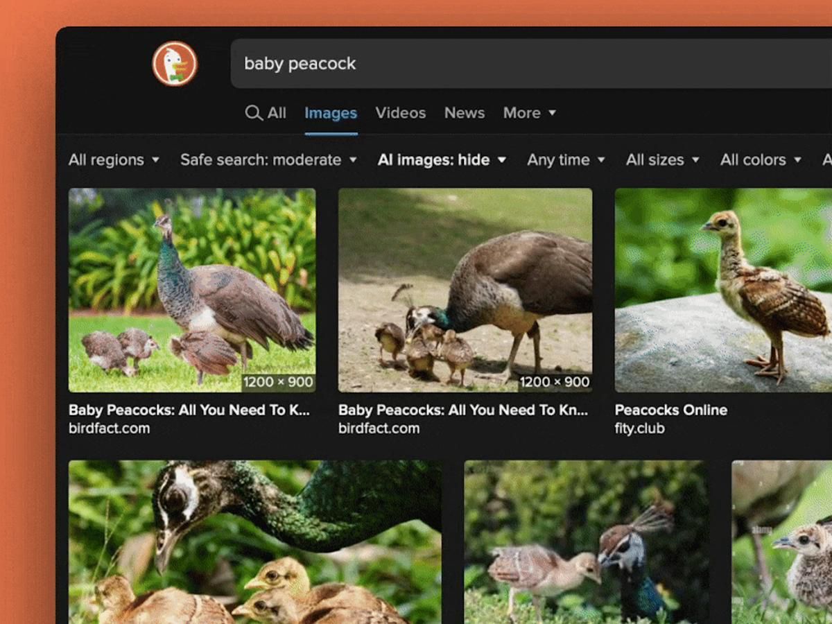 Feed Image