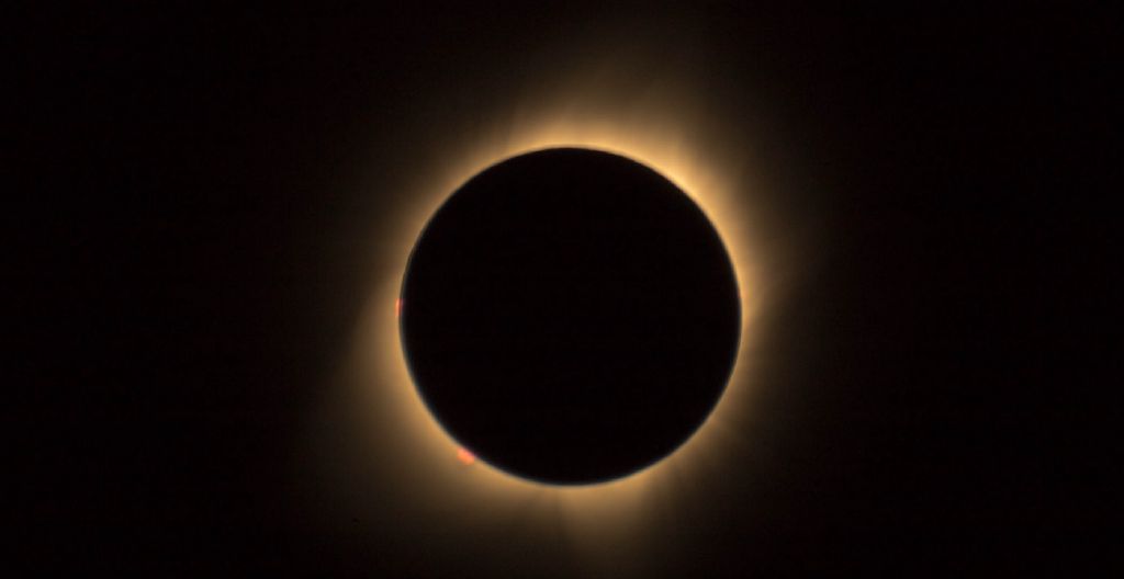Feed Image