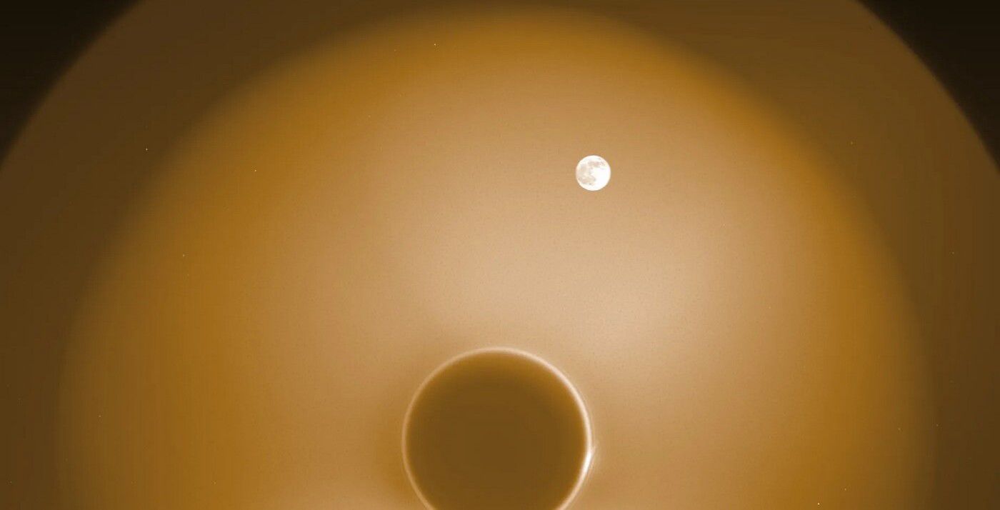Feed Image