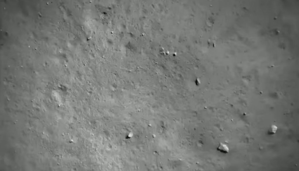Feed Image