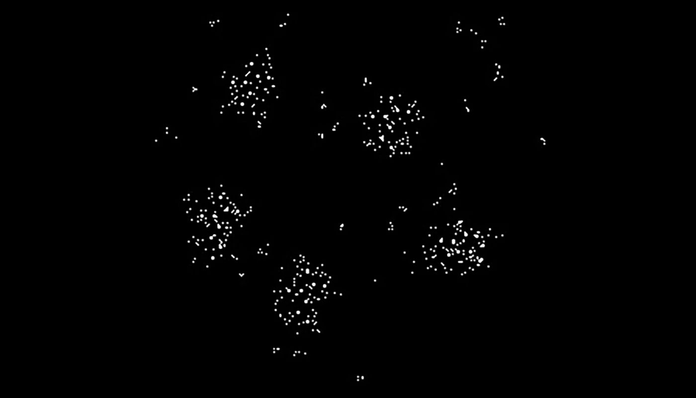 Feed Image