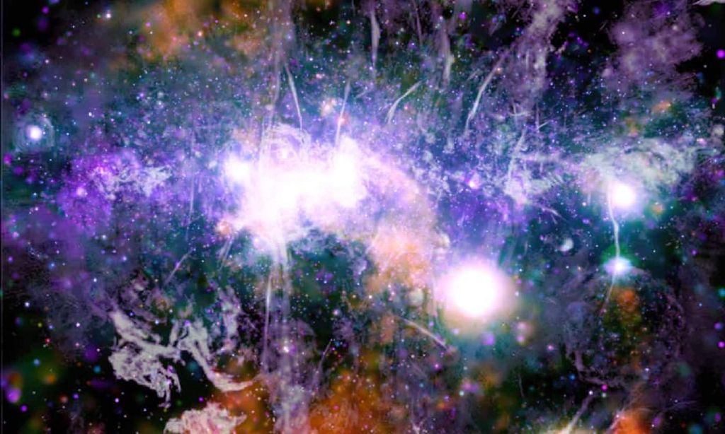 Feed Image