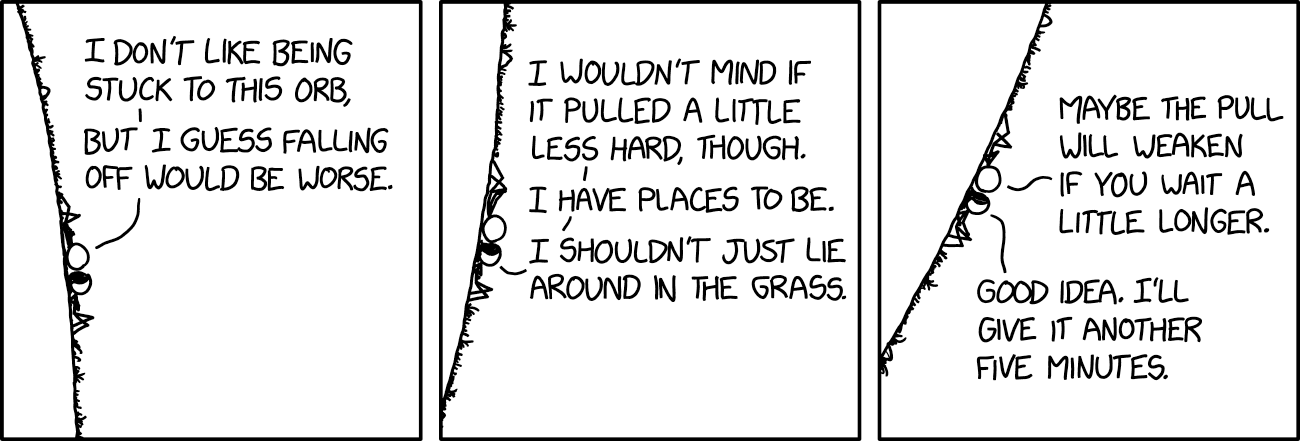 Feed Image