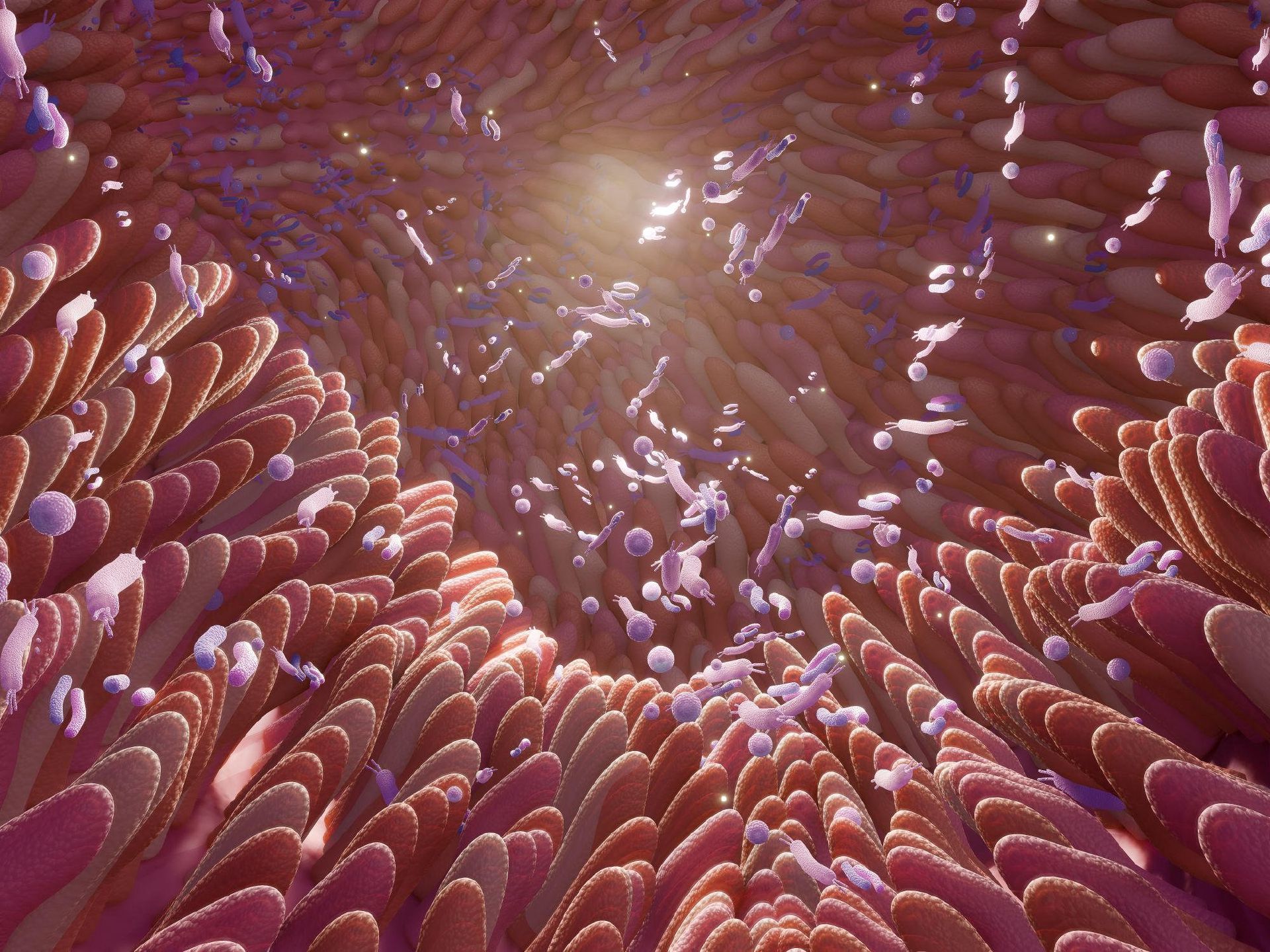 Feed Image
