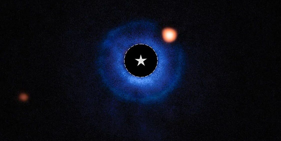 Feed Image