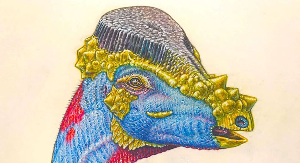 Feed Image