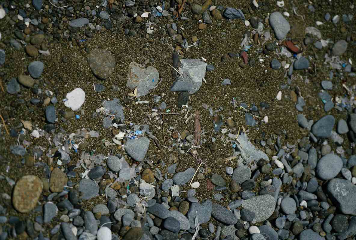 Feed Image