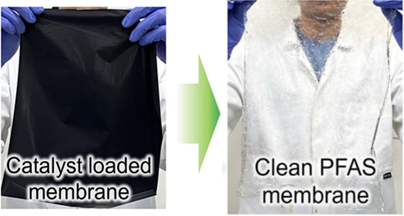 Feed Image