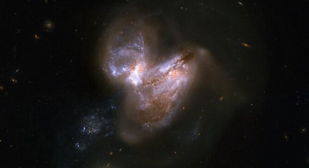 Feed Image