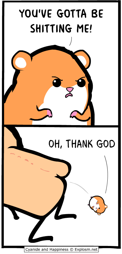 Feed Image