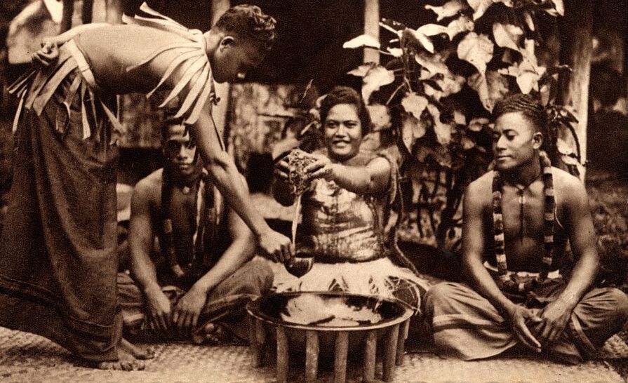Feed Image