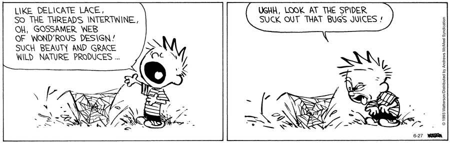 Feed Image