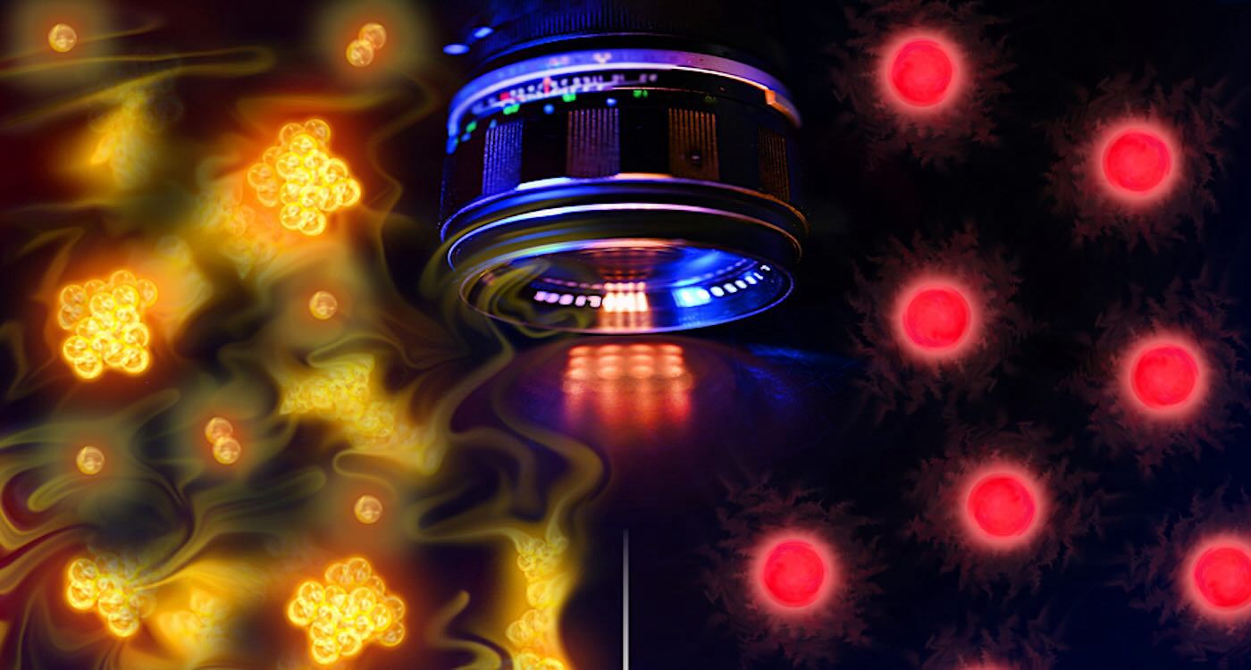 Feed Image