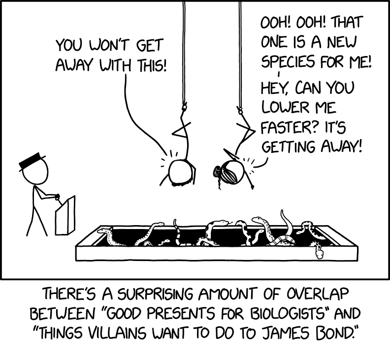 Feed Image