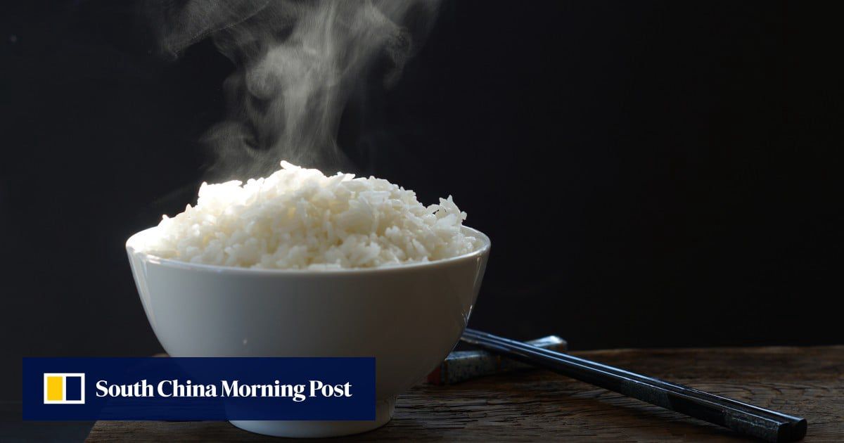 China food scientists combine pork, chicken with rice in lab-grown meat advance