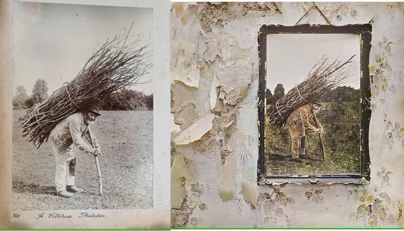 Feed Image