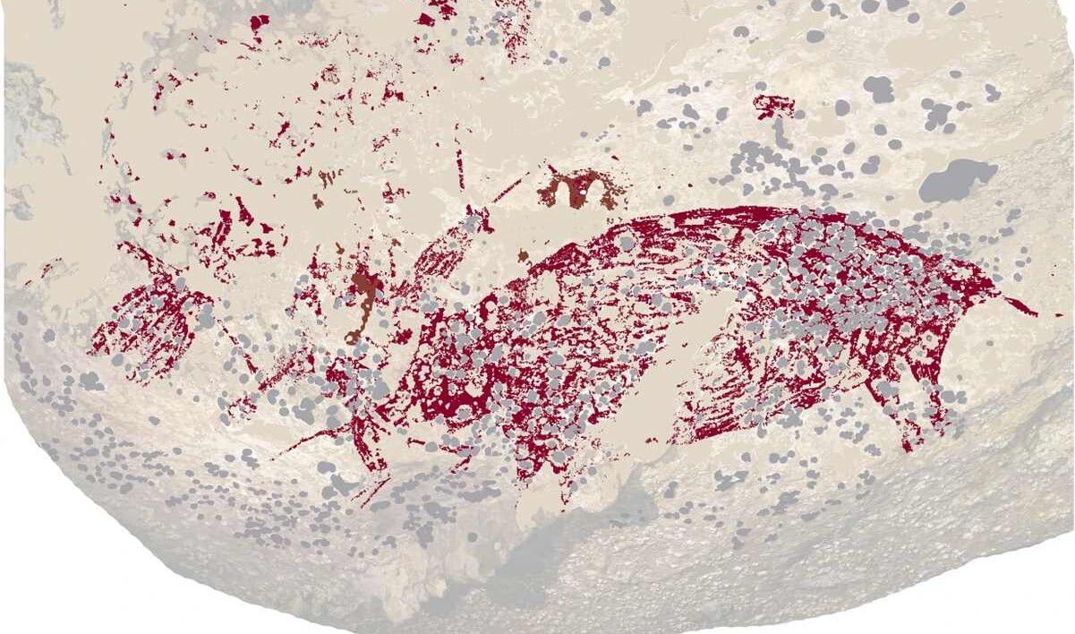 Feed Image