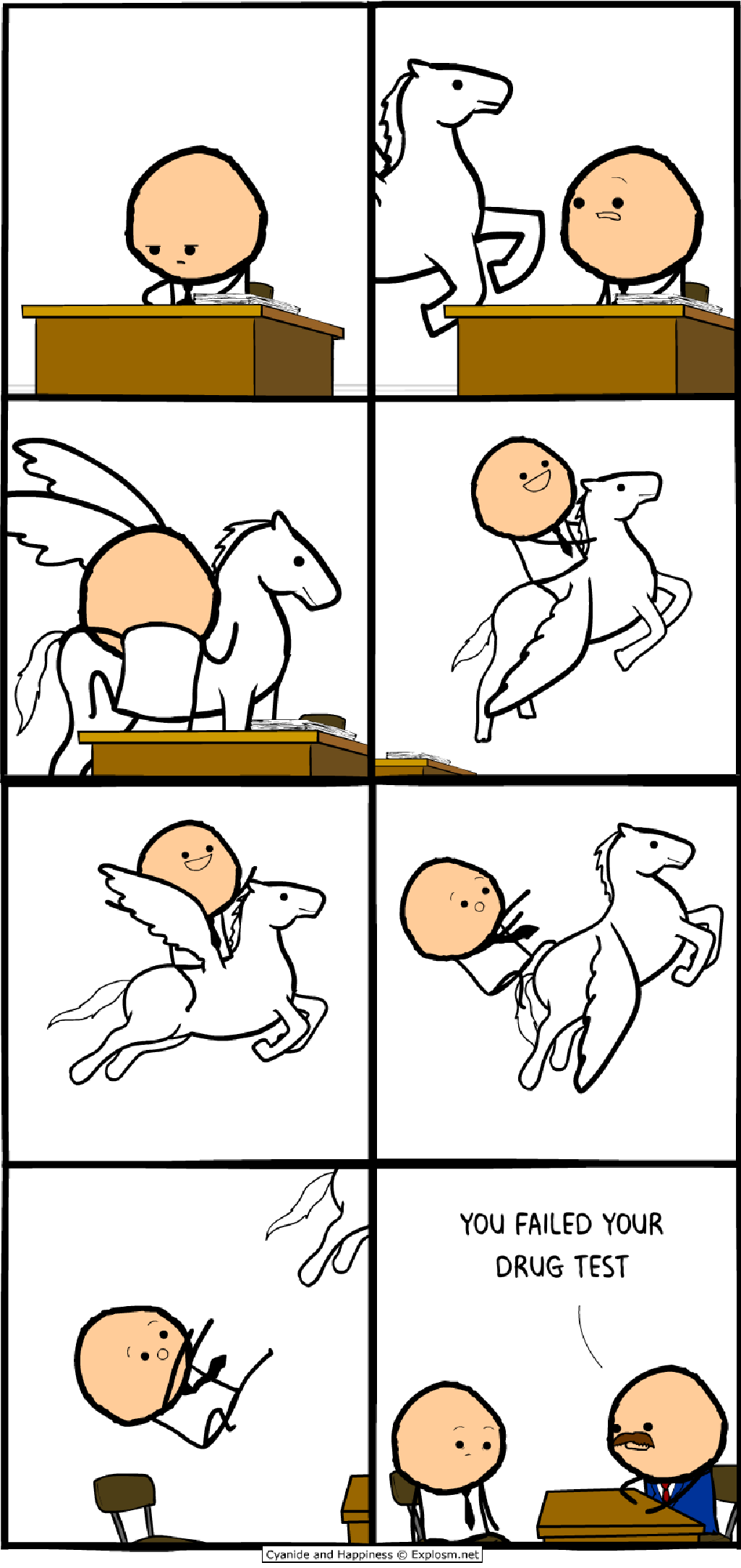 Feed Image