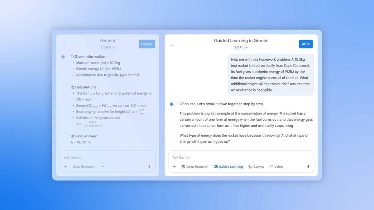 Feed Image
