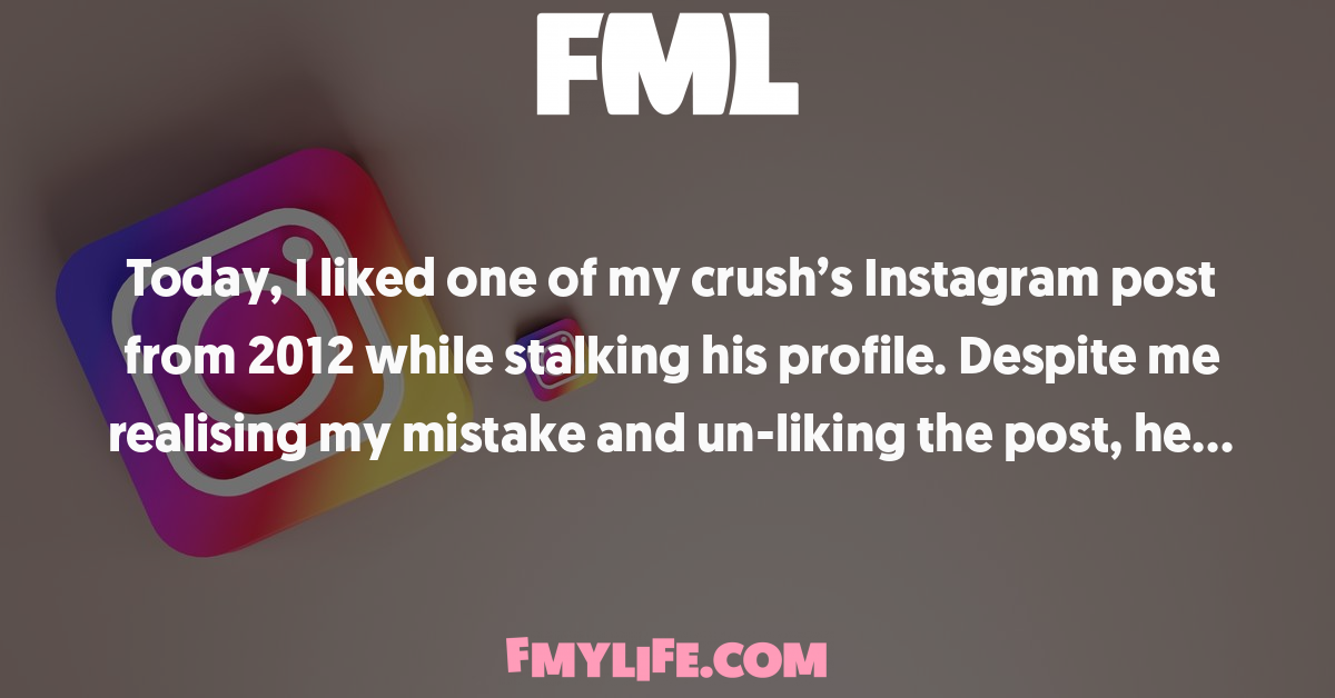 Feed Image