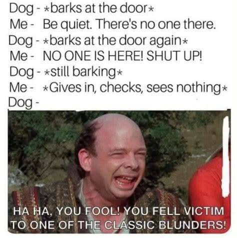 Meme with text about a dog barking at an empty door, overlaid on a laughing man from a TV show.